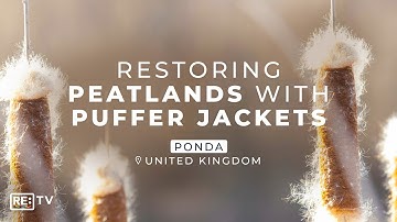 From Bulrush to Biomaterial: The Next Generation Of Fashion