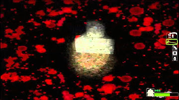 Left 4 Dead 2 Last Man On Earth Mutation, Expert/Normal Level: Ruination