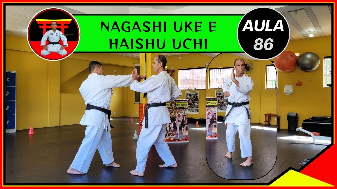 Nagashi Uke e Haishu Uchi – Defesa e contra-ataque rápido.