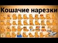 Кошачие нарезки. Выпуск очередной +1