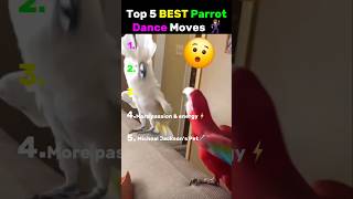 Top 5 BEST Parrots Dance Moves🕺#parrot