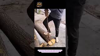 Insane Log Splitting Tool Hack | Faster Wood Cutting Method
