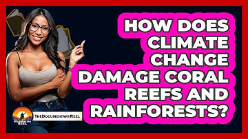 How Does Climate Change Damage Coral Reefs And Rainforests? - The Documentary Reel