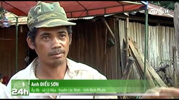 VTC14_Tang thương xóm nghèo vùng biên giới Lộc Hòa