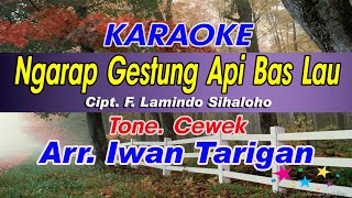 Karaoke Lagu Karo Ngarap Gestung Api Bas Lau screenshot 5