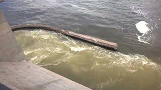 Слив воды с ТЭЦ в Москва-реку / Draining water from the CHP into the Moskva River