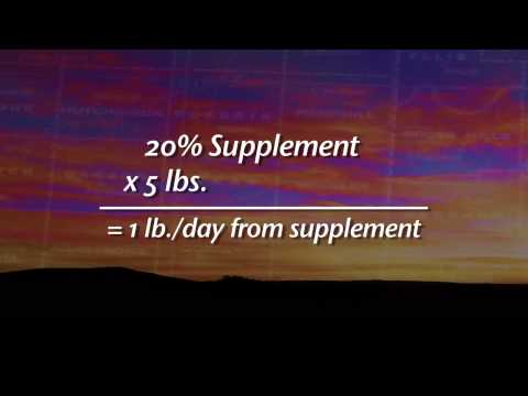 Cost of Beef Supplements