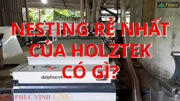 (Thực tế) Máy cnc nesting 4 đầu rẻ nhất của Holztek có gì?