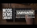 Labyrinth | Duophonic Patching