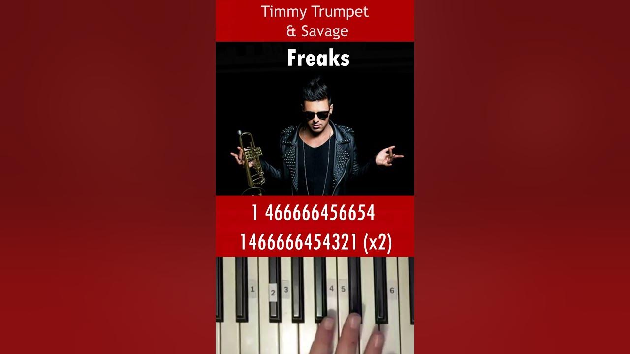 Timmy Trumpet & Savage //  Freaks
