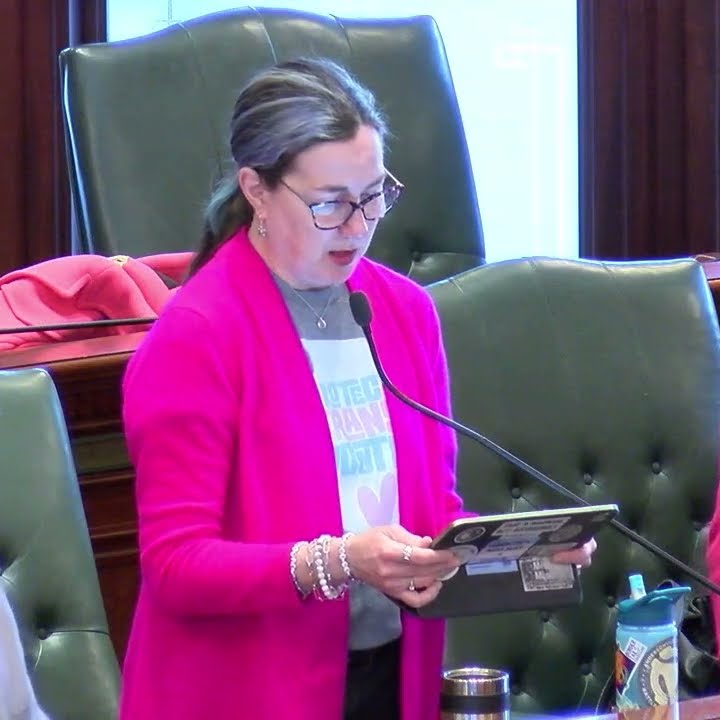 Representative Kelly Cassidy on Lilly Wachowski | Trans Day of ...