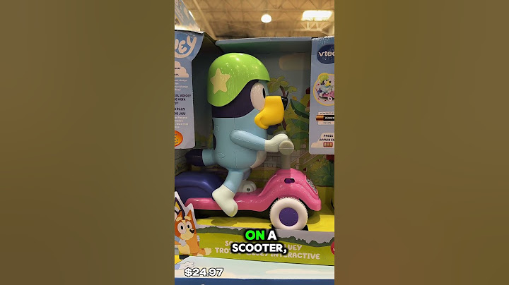 Bluey best for Christmas gift