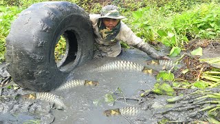 Awesome Fishing Dry Season 2020 - Best Hands Catching Fishes From Mud After Low Water In Dry Lake