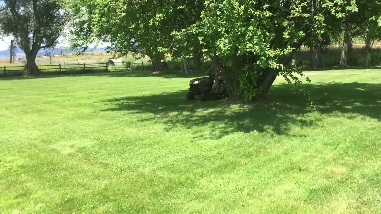 My babe mowing the lawn 2016