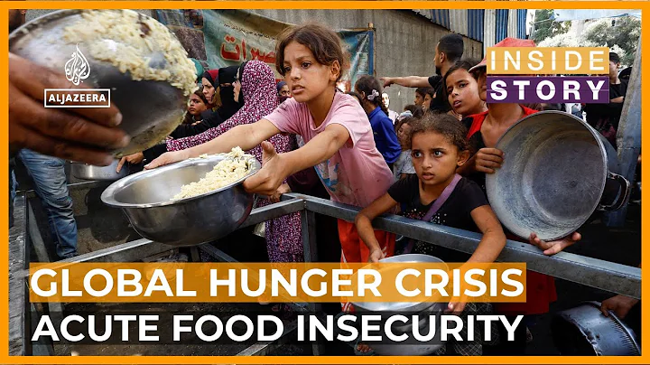 Why has number of people facing hunger crisis doubled since 2019? | Inside Story