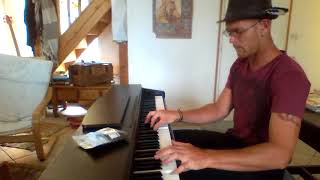 Like a Hobo - Charlie Winston - Cover Nicolas Milin