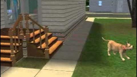 The Sims 2 - how to control pets