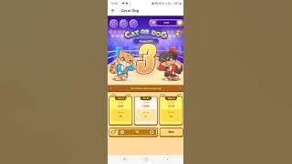 Play Games Cat or Dog Bigo Live