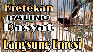 KRETEKAN PALING DASYAT,, MEMANCING EMOSI LAWAN