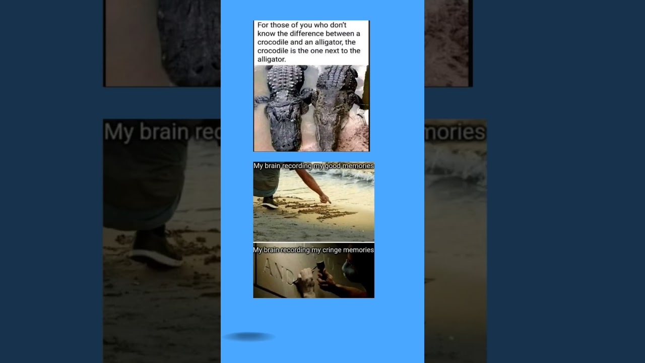 difference 😂 memories 😭