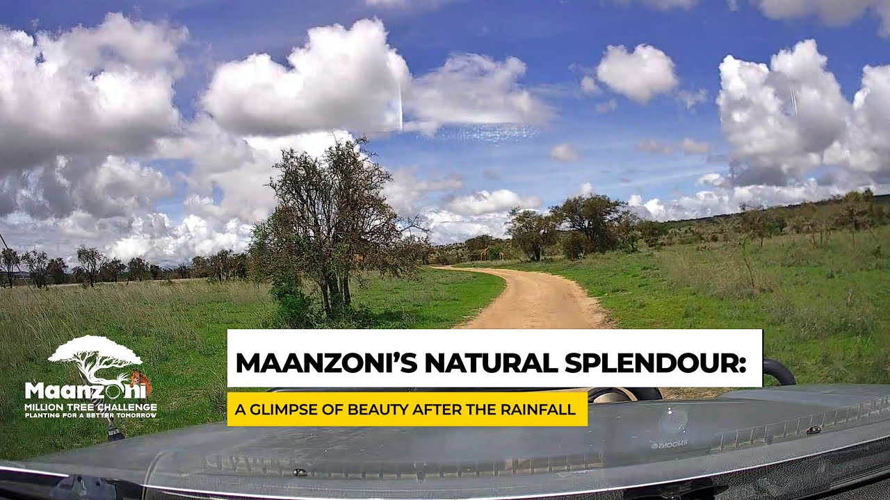 Maanzoni is BREATHTAKING after RAINFALL!