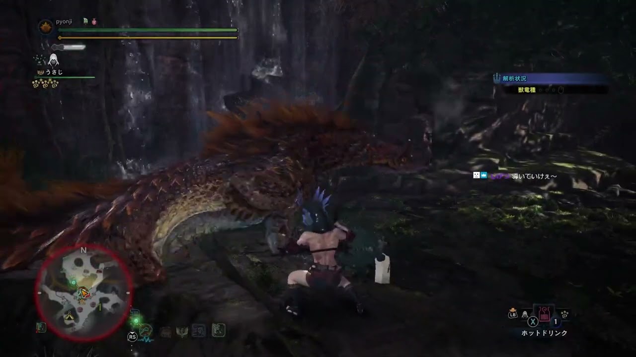 導きの地 氷雪地帯のレベル上げ【monster hunter world】