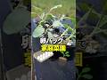 卵パックで家庭菜園 #shorts #まるっと農業日記 #家庭菜園