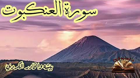 سورة العنكبوت كاملة/القارئ بيشةوا قادر الكردى/قران كريم بصوت جميل جدا جدا مؤثر هادي 💙💙💙