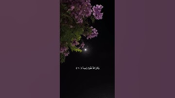وكان الله غفواً رحيماً القارئ إبراهيم إدريس سورة الفرقان #اكسبلور #قرآن #راحة_نفسية #explore #لايك