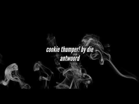 cookie thumper! ~ die antwoord lyrics