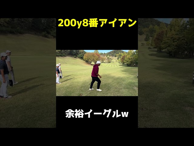 200y8番アイアンで余裕のバーディーのやつ#shorts
