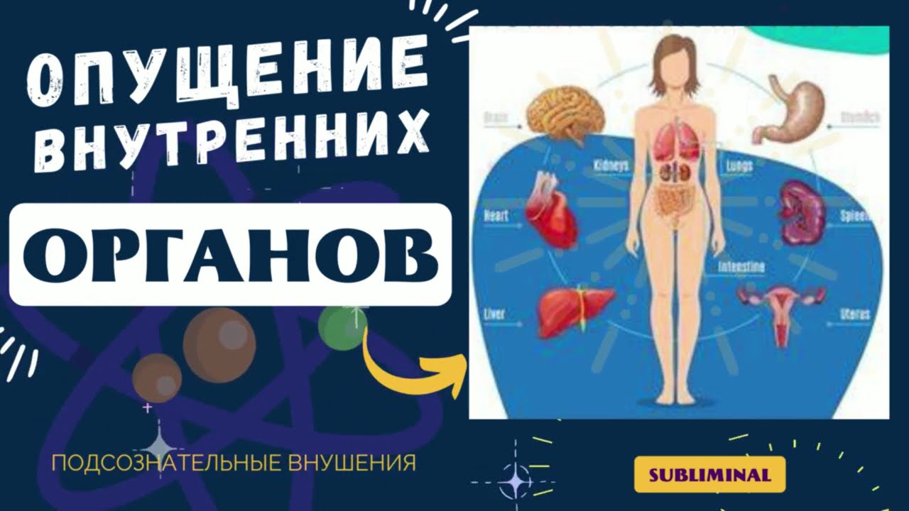 ОПУЩЕНИЕ ВНУТРЕННИХ ОРГАНОВ💡ВОЛШЕБНЫЕ ЧАСТОТЫ д-ра ШМИДТА - YouTube