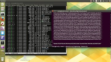 Bitcoin lightning C implementation test 2016-03-31