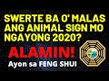 Kapalaran Mo Ngayong 2020 Ayon sa Feng Shui | Chinese Zodiac Luck 2020 Year of the Metal Rat