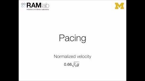 Passive Dynamic Quadrupedal Model Explain a Large Variety of Gaits