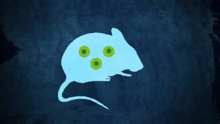 Sleeping Beauty Mutagenesis: A System for Finding Problem Genes Wealth