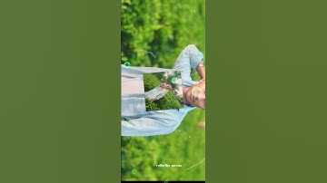 O SAJAN O SAJAN TARJEN MOVIE HINDI SONG XML FILE || NEW TRENDING SONG XML FILE || 🔖✅