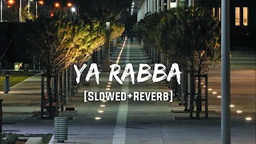 Ya Rabba (Slowed+Reverb)- Textaudio | VibeReberb