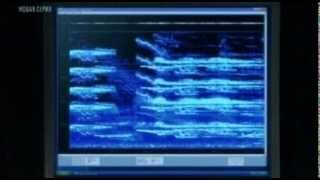 ⁣Русалка  обнаружено тело 2011г(СКАНДАЛЬНОЕ ВИДЕО)