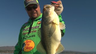 How to Catch Giant Guntersville Pre-spawn Bass on a Lipless Crankbait