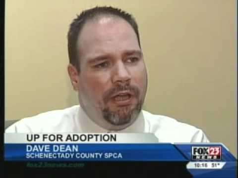 Schenectady County SPCA - Hendricks Pleads Guilty to Animal Abuse - YouTube