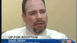 Schenectady County SPCA  -  Hendricks Pleads Guilty to Animal Abuse