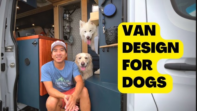 Vanlife With A Dog  (tips and tricks) 