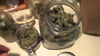 Super Lemon Haze Harvest