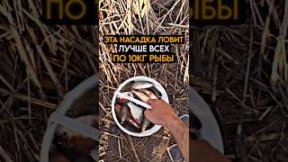 Эта НАСАДКА ЛУЧШЕ ЧЕРВЯ И ОПАРЫША в 30 раз #рыбалка #карась #fishing
