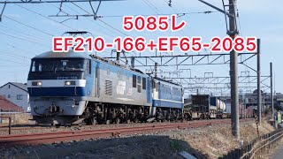 5085レ FF210-166+EF65-2085 西岐阜~穂積間通過 #ef210 #貨物 #貨物列車 #5085レ #ef65