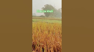Thumbnail of Dhan ke kheti #song #arijitsingh #music #bollywood #love