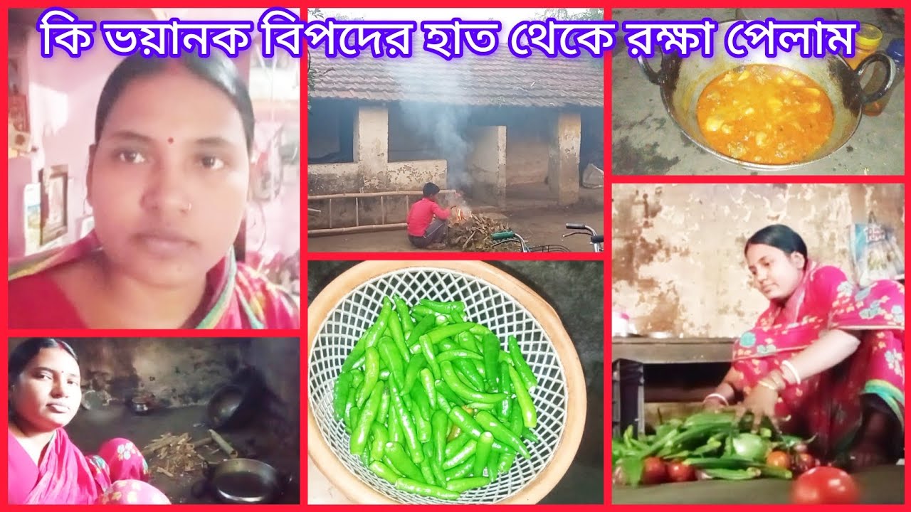 "বড় বিপদ, অল্পের জন্য রক্ষা পেলাম"tiny village food bengali//sumitra village lifestyle//viralvideo/