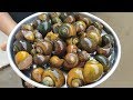 Awesome Recipe || Snails | Indian Live Snails Masala Curry | Cooking & Cleaning Snails Village Style