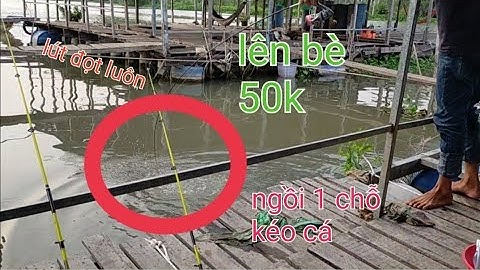 CÂU CÁ SÔNG - ĐIỂM CÂU CÁ LÍ TƯỞNG - CHỈ 50K CÓ THỂ MANG THEO CẢ TRĂM CÂY CẦN CÂU LÊN BÈ VIDEO 196